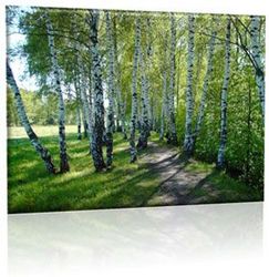 Родная природа в стихотворениях российских поэтов XIX века